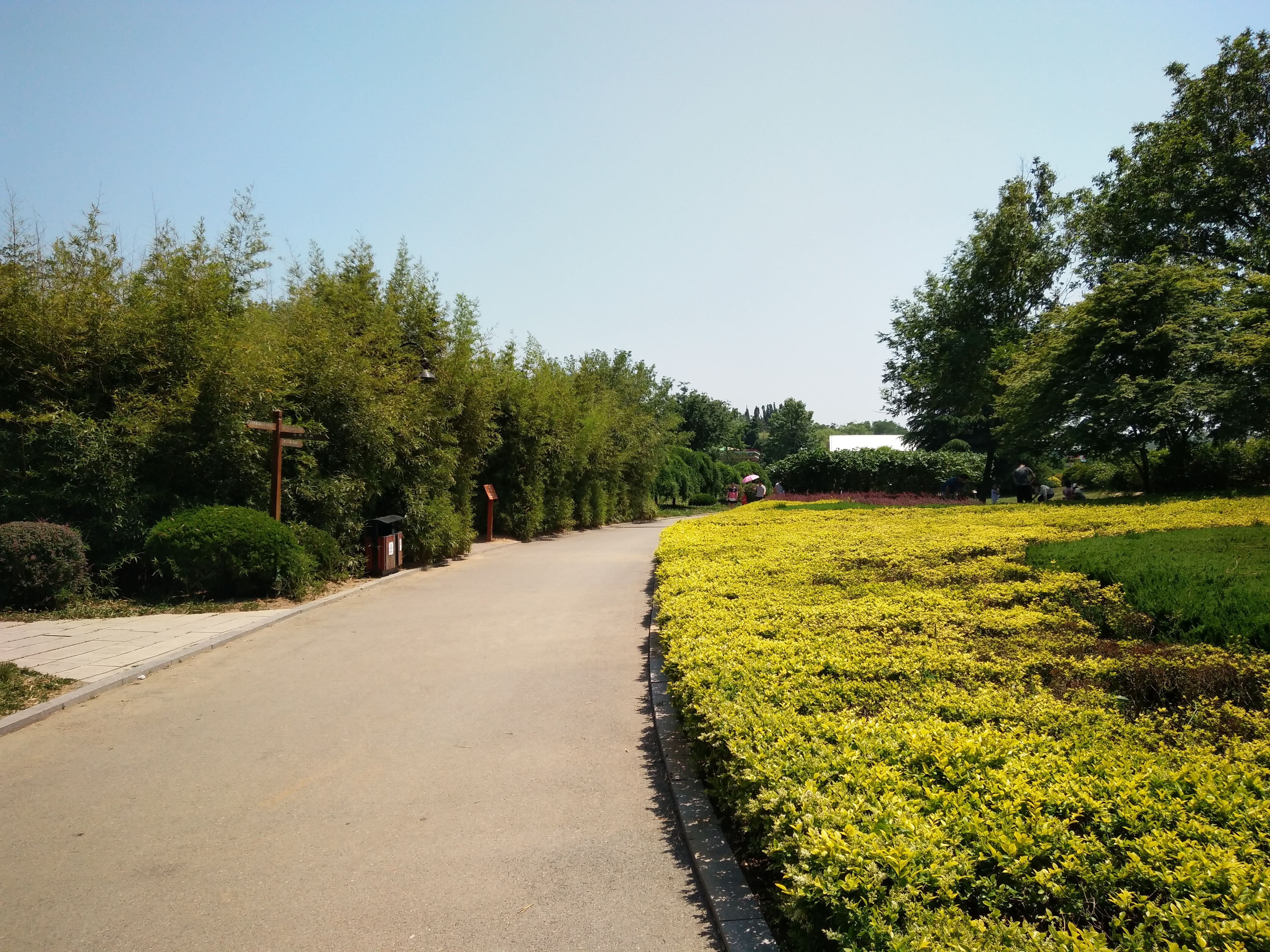 【夏天】城陽世紀公園一遊