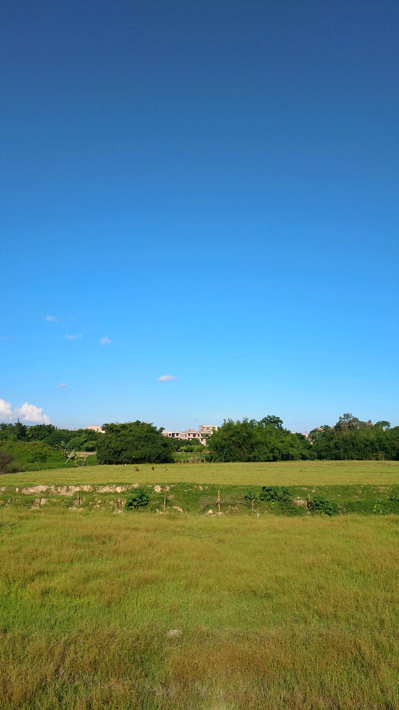 【摄影达人·x7plus】晴空万里