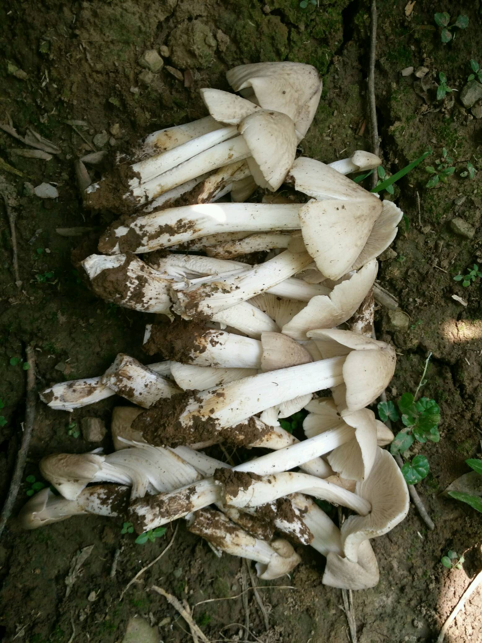 永善县黄华镇天气预报今日情况