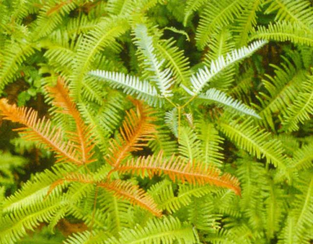 【忆师恩】老师――人生路上的指路人