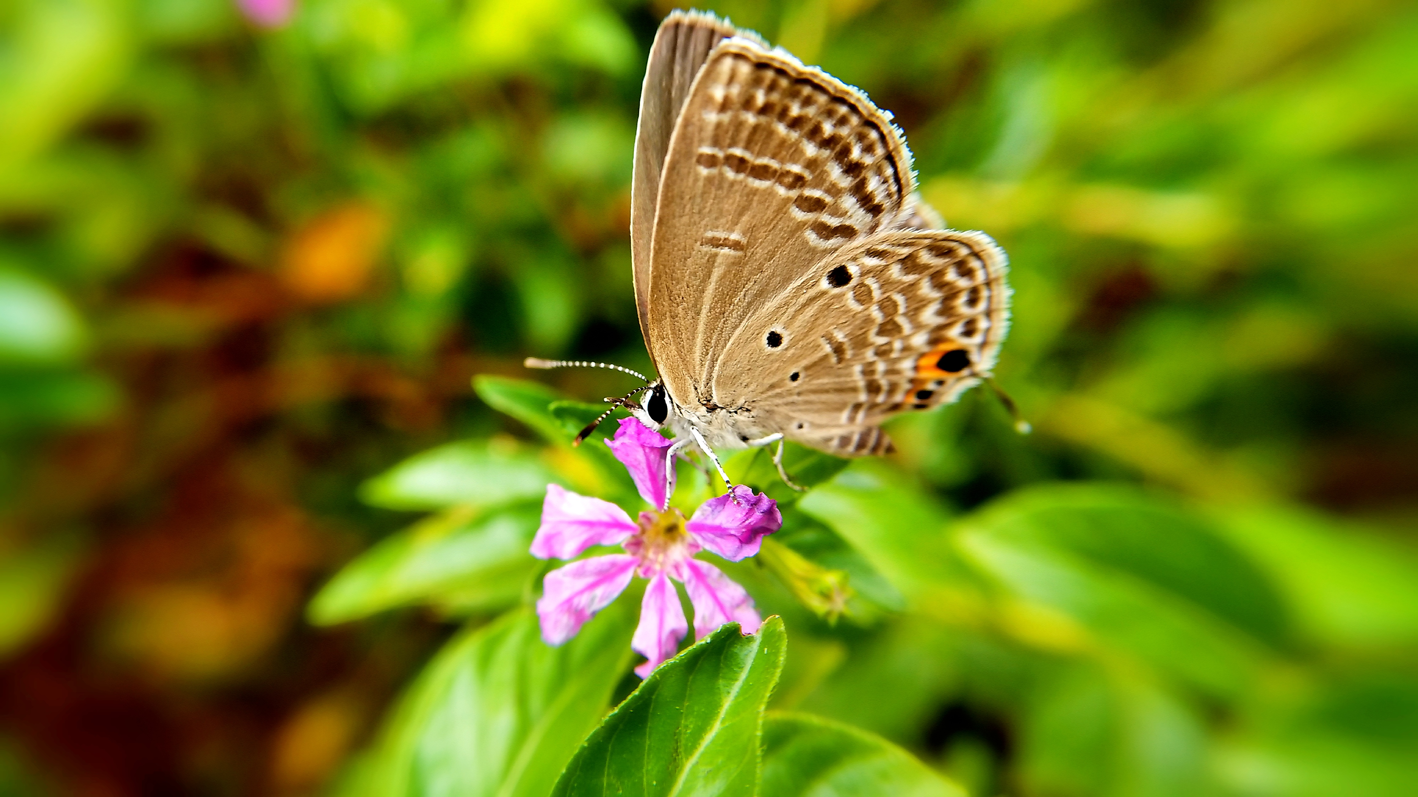 每日一拍# 远景已进景-第25页-手机摄影-vivo官网社区
