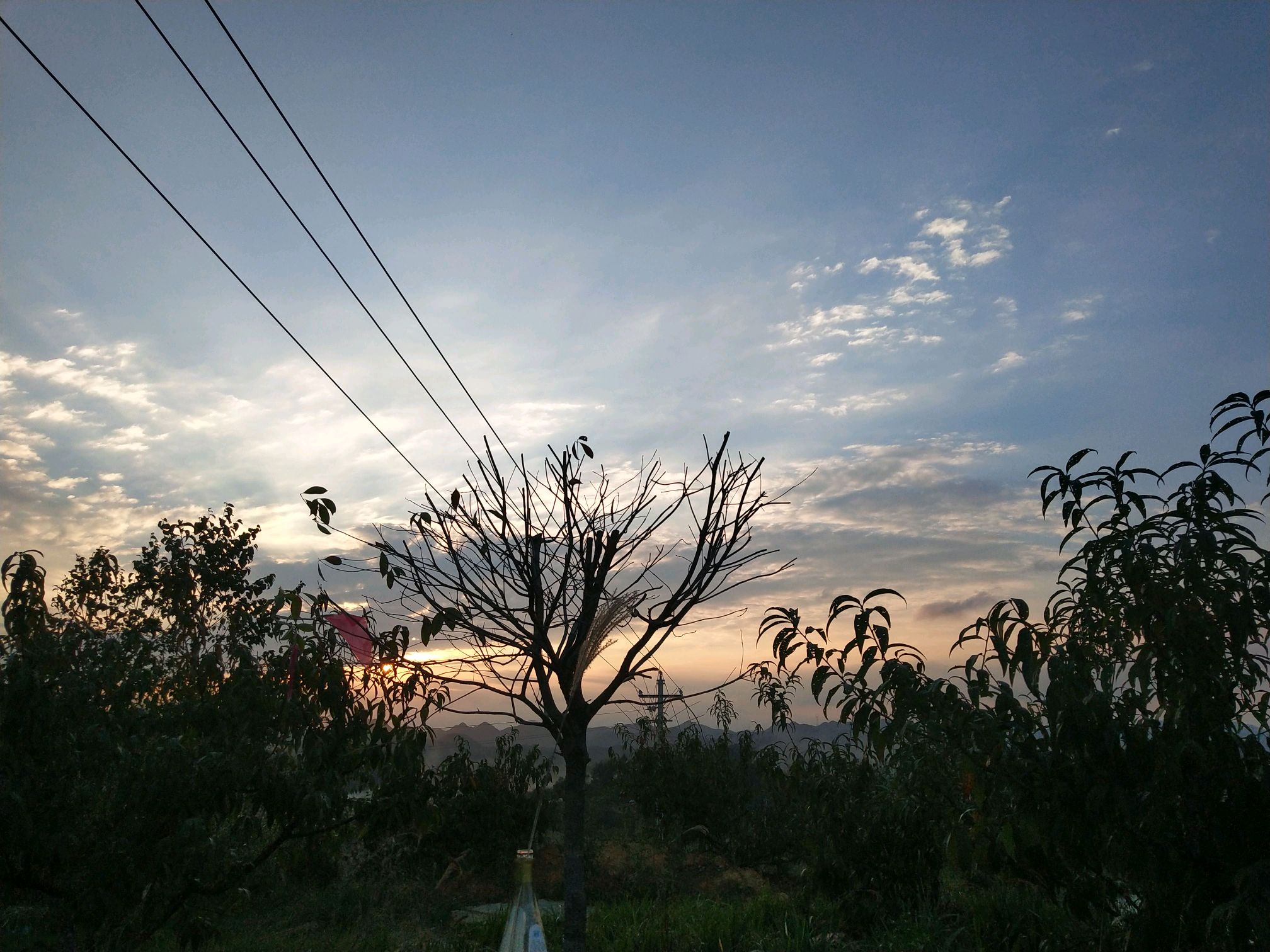 【漂亮照片怎么拍】 我的半天