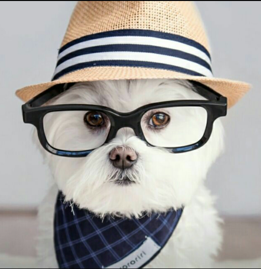 【x7】看到的经典-v粉家园-vivo智能手机v粉社区