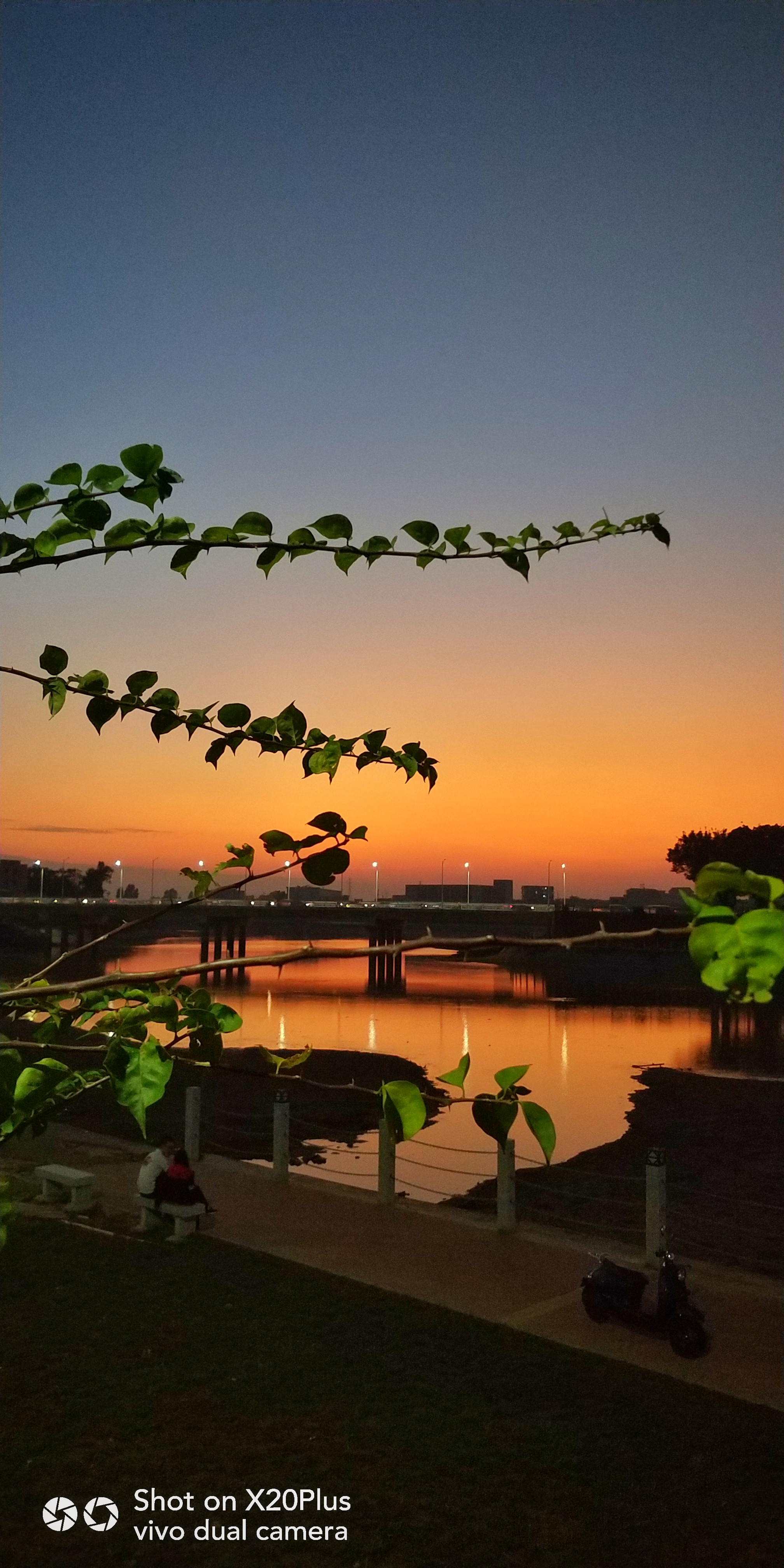 夕阳真实手机拍图片图片