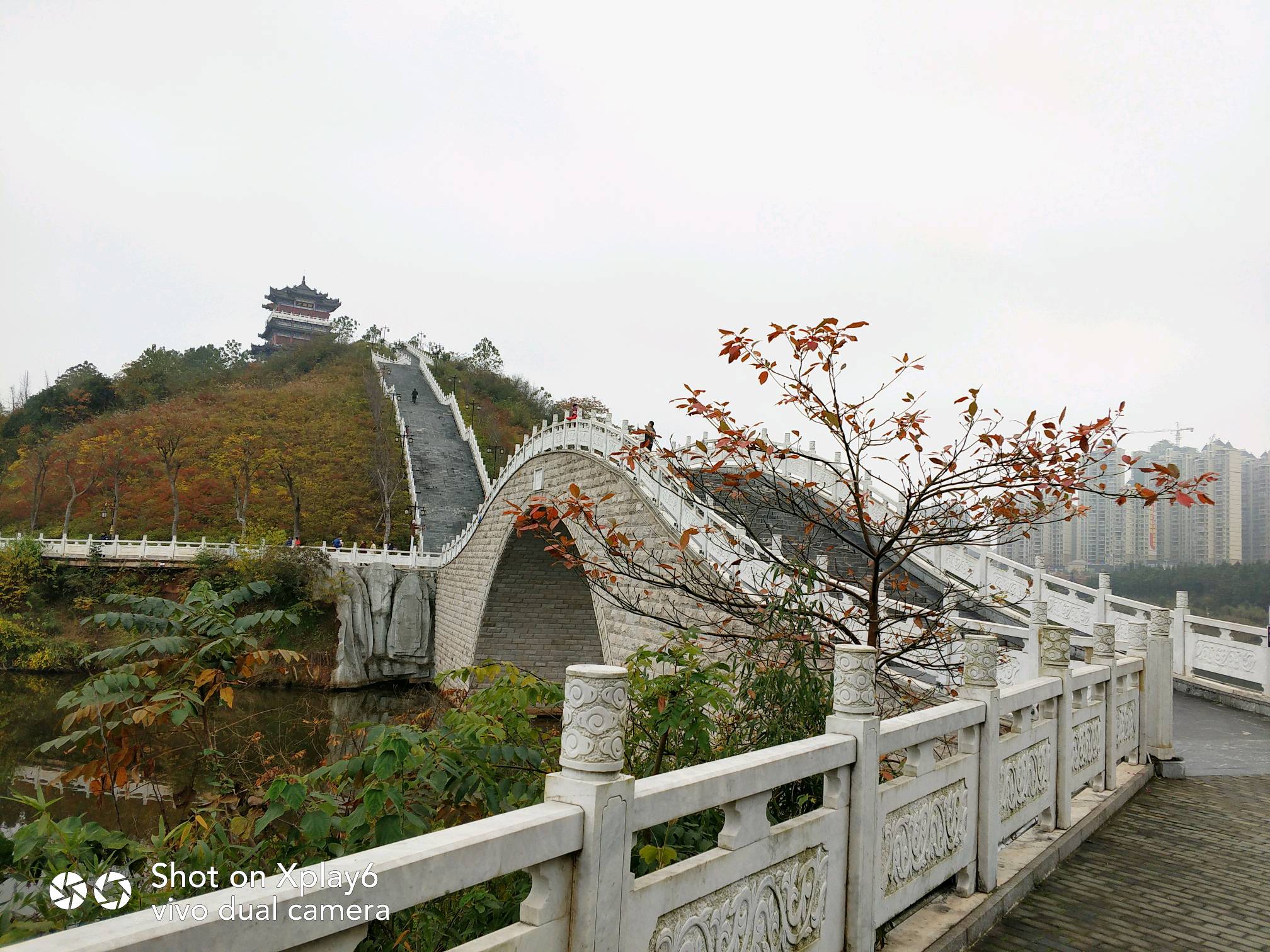 美丽桂阳文化园