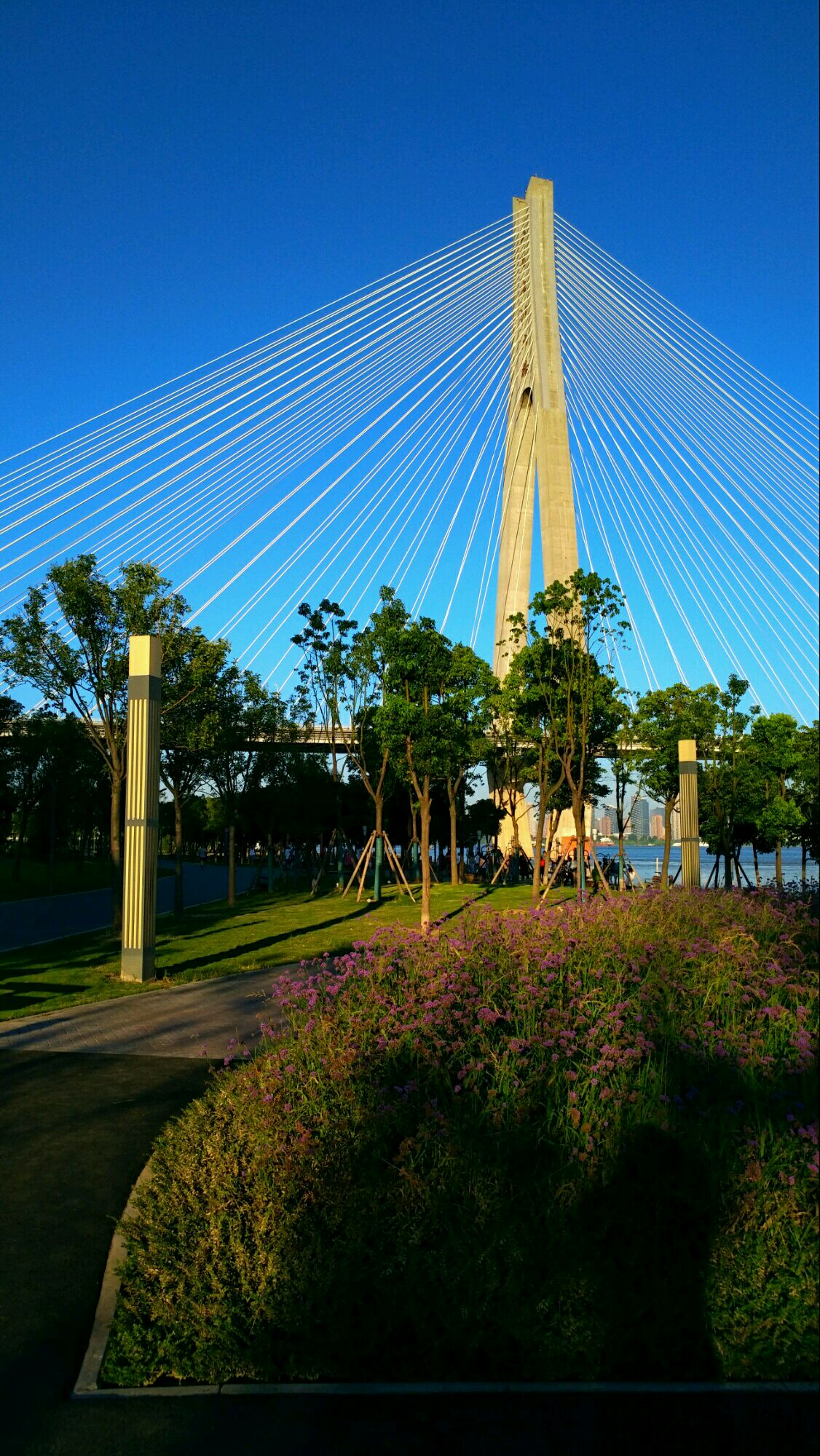 武汉市青山区江滩长江二七大桥.