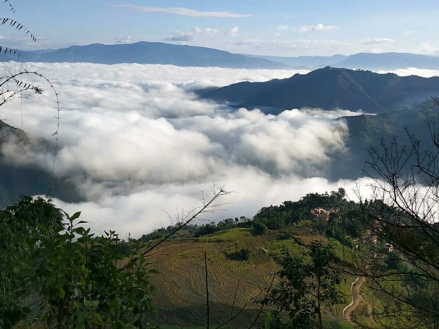 哀牢山雲海