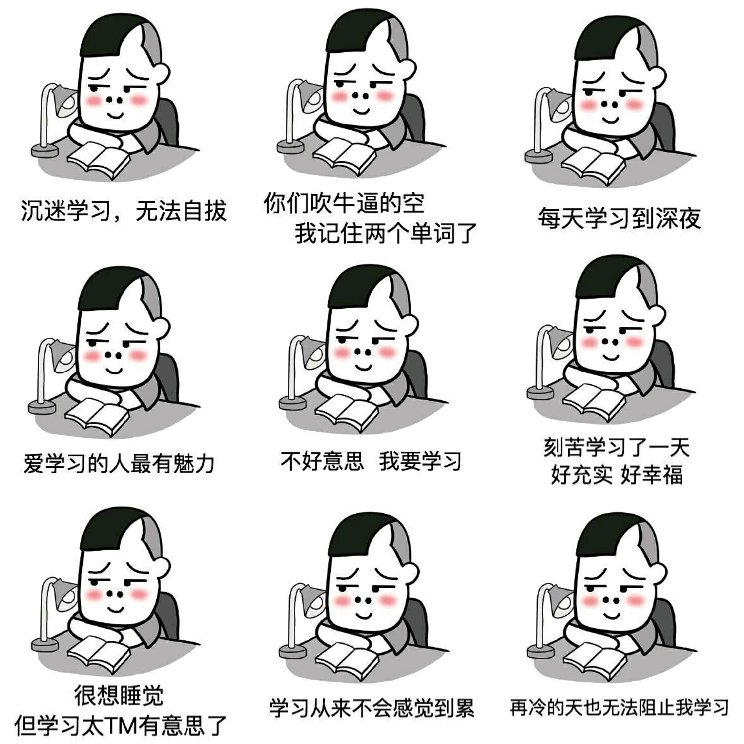 [v粉表情包]爱学习无法自拔