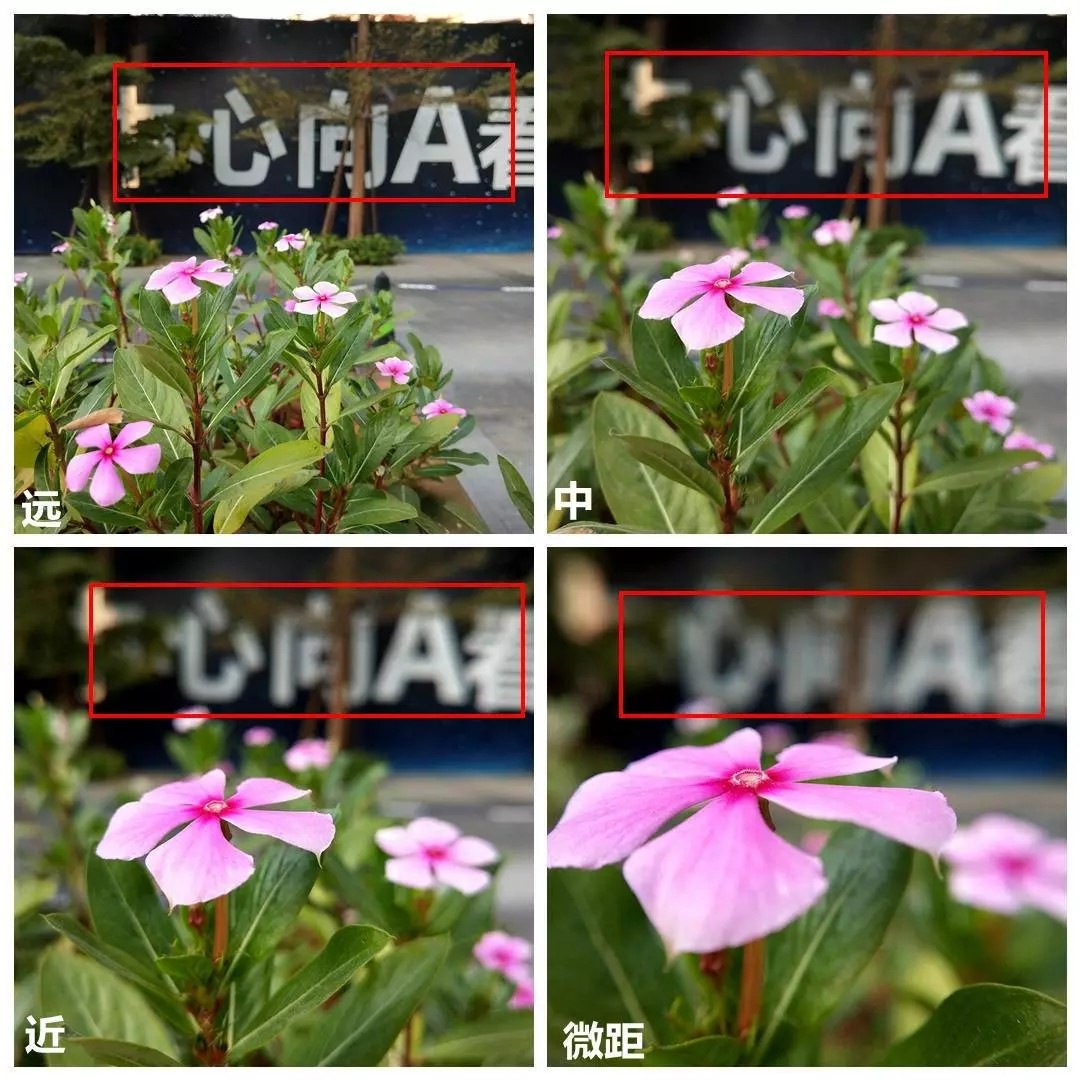 手机与拍摄主体的距离