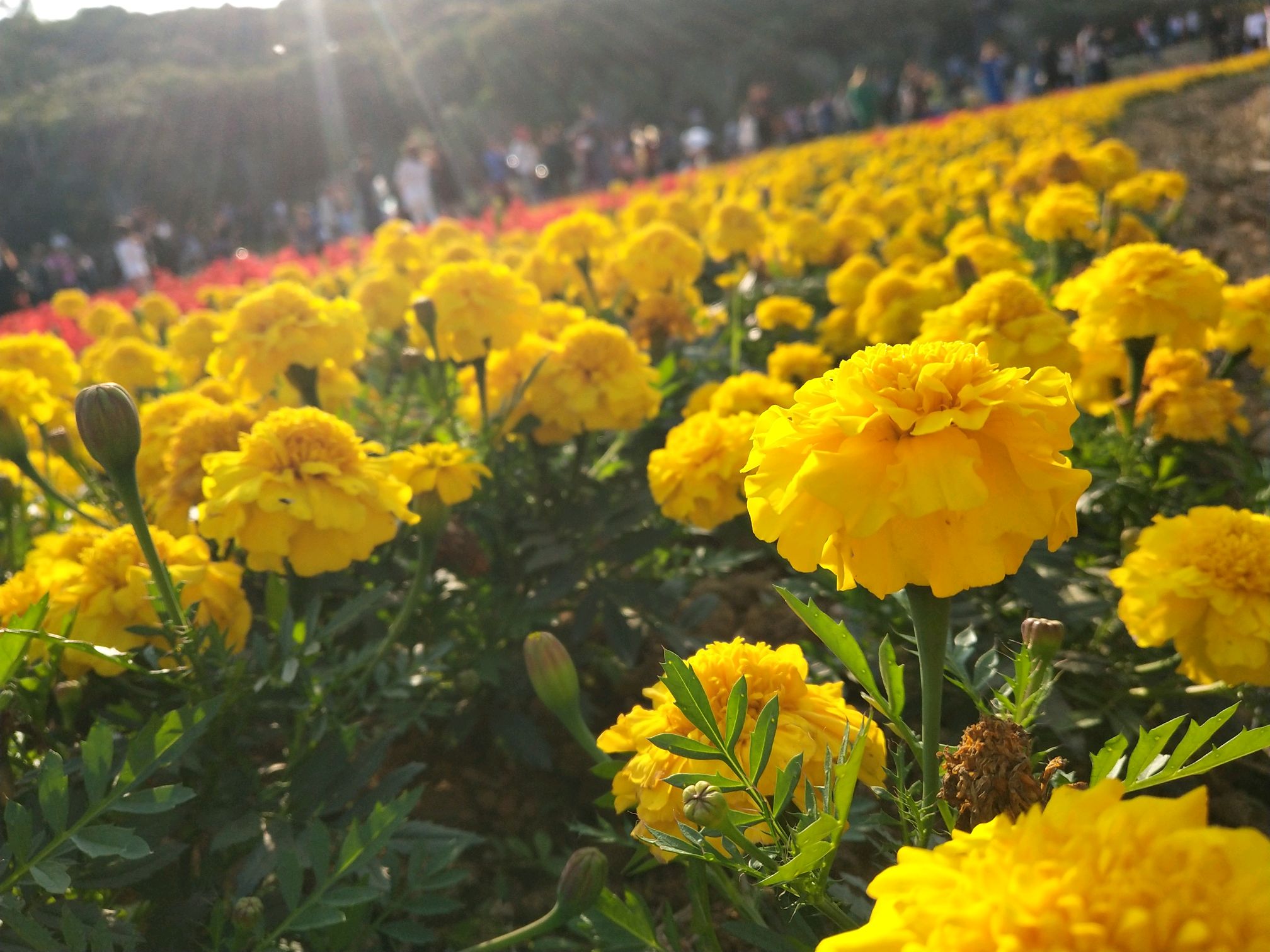 清溪大王山森林公園