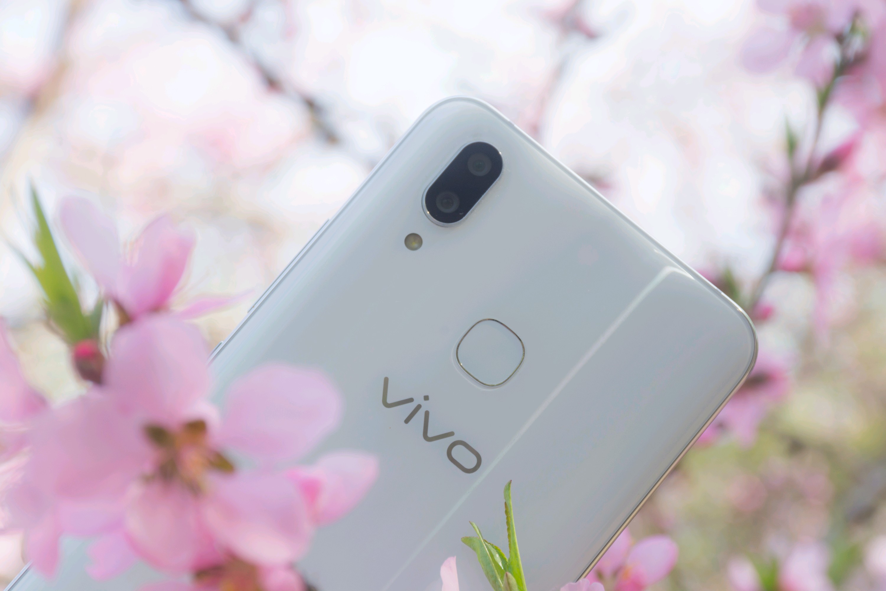 第2页-v粉家园-vivo智能手机v粉社区