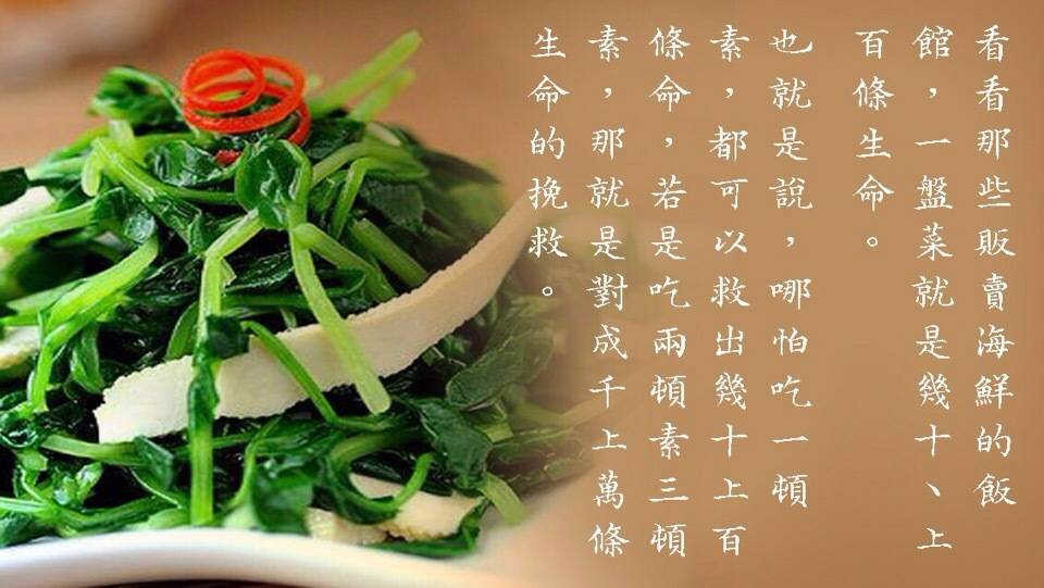 【清明忆往事】【提倡清明应以素食祭祖】
