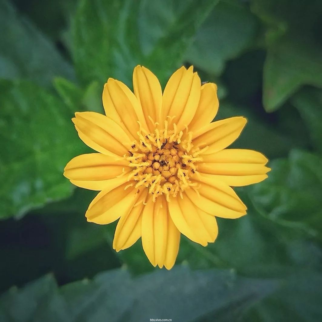 简单直接,但非常有效,多适用于正方形画幅的构图