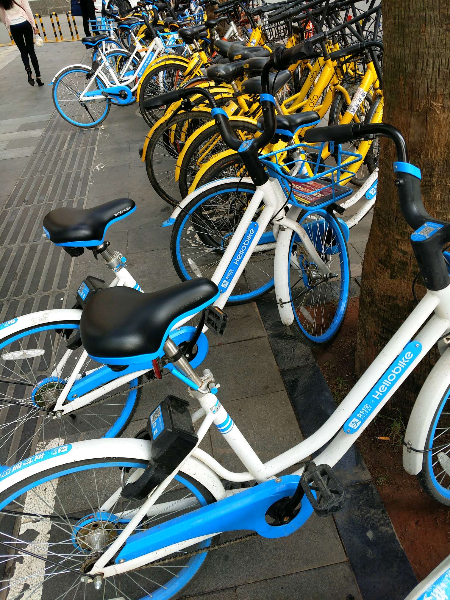 [四月日记秀] 共享单车