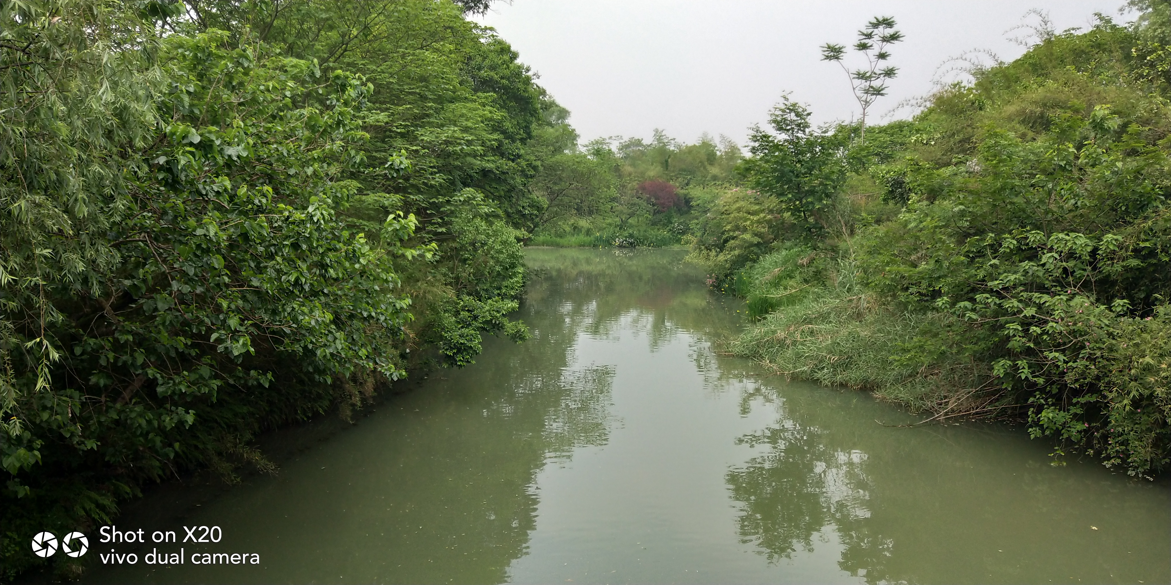 西溪溼地公園