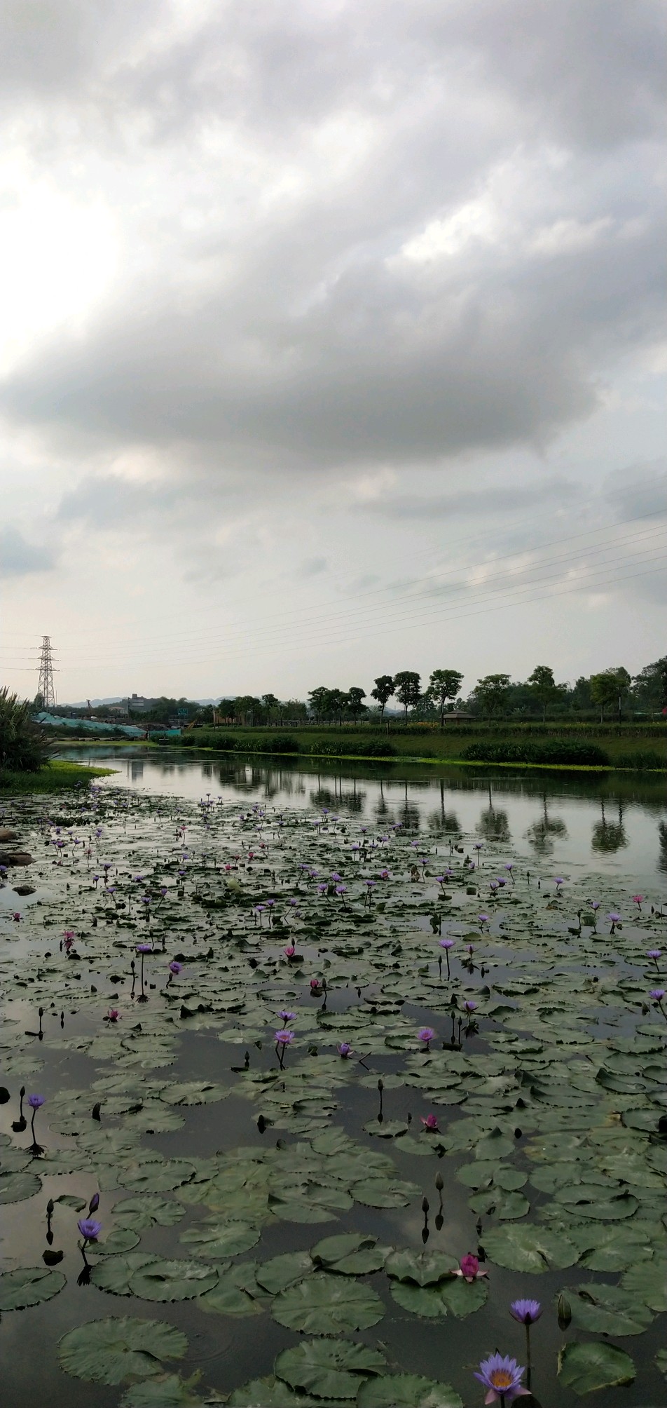 南寧◎那考河溼地公園