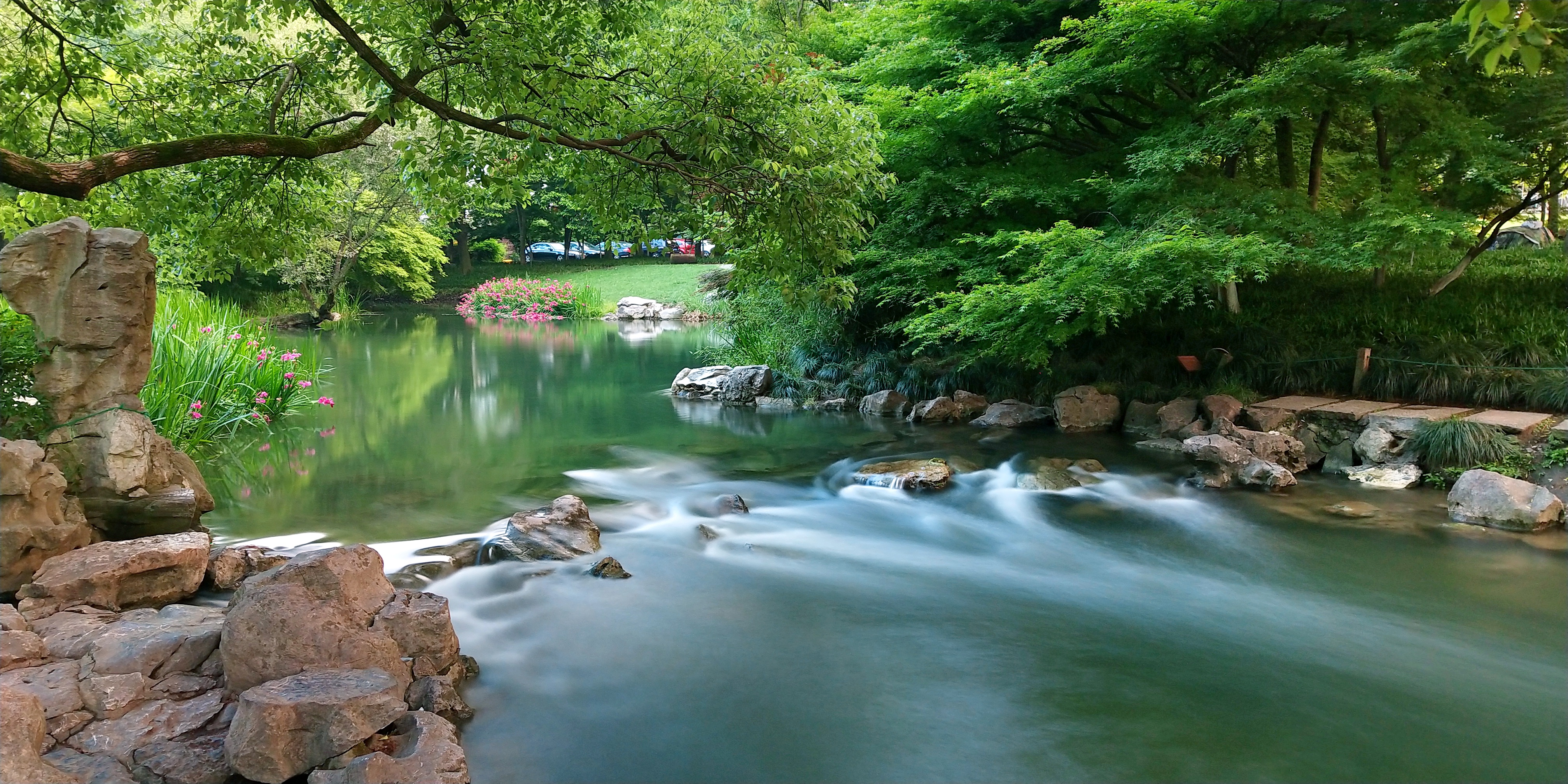 浣花溪公园美景图片