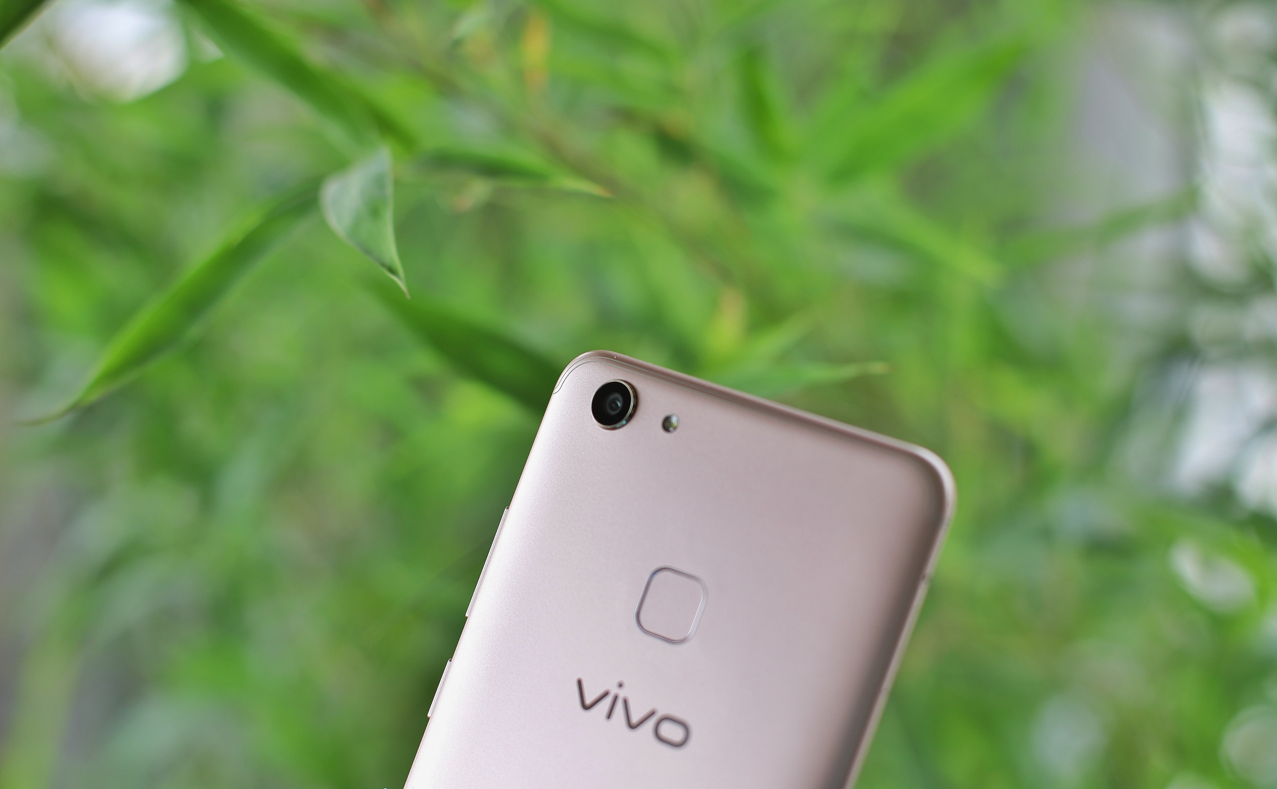 【風叔說】ai人工智能的普及先鋒顏,vivo y75s圖賞