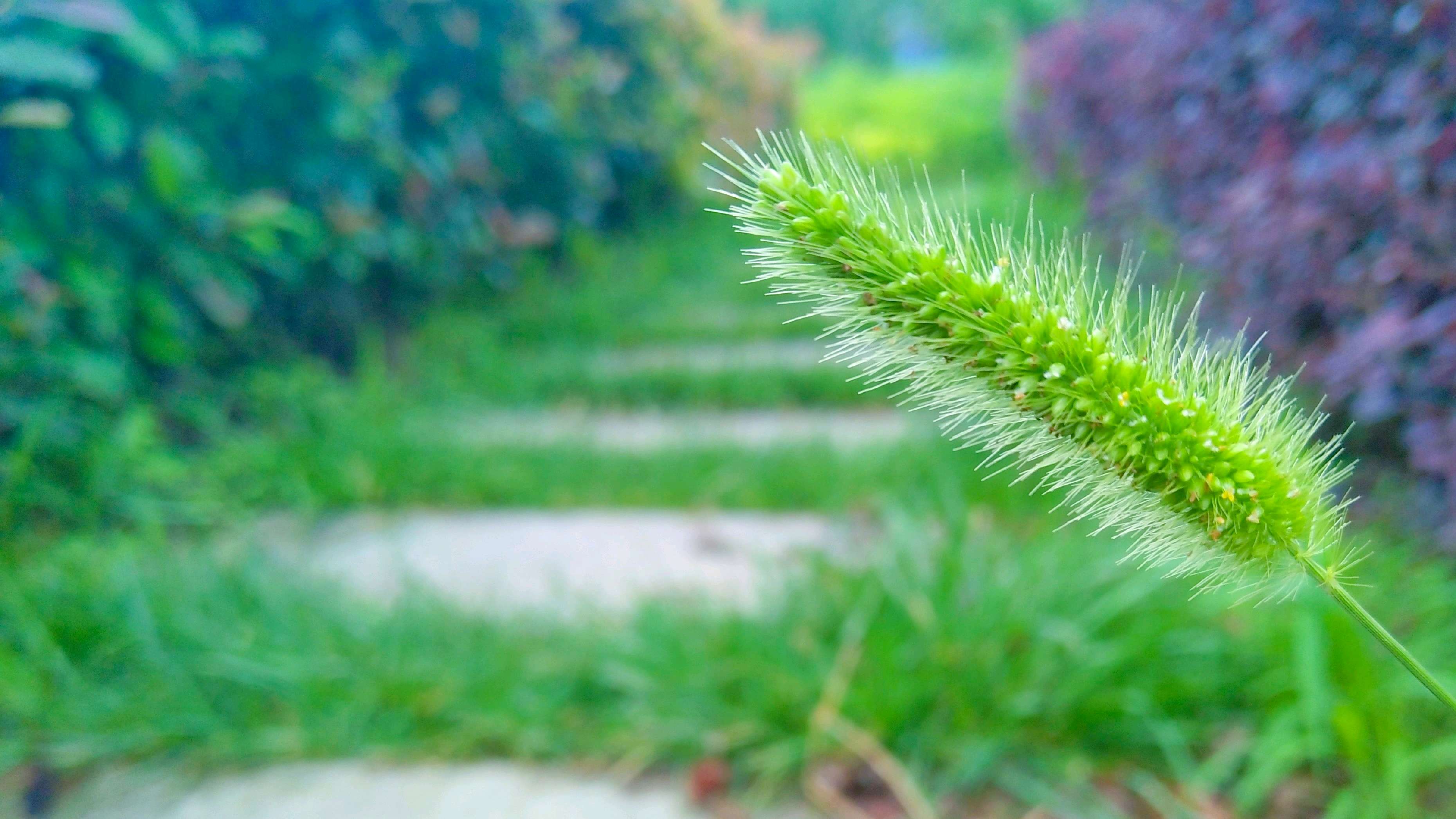 【vivox9】夏日晨风,从心头吹过