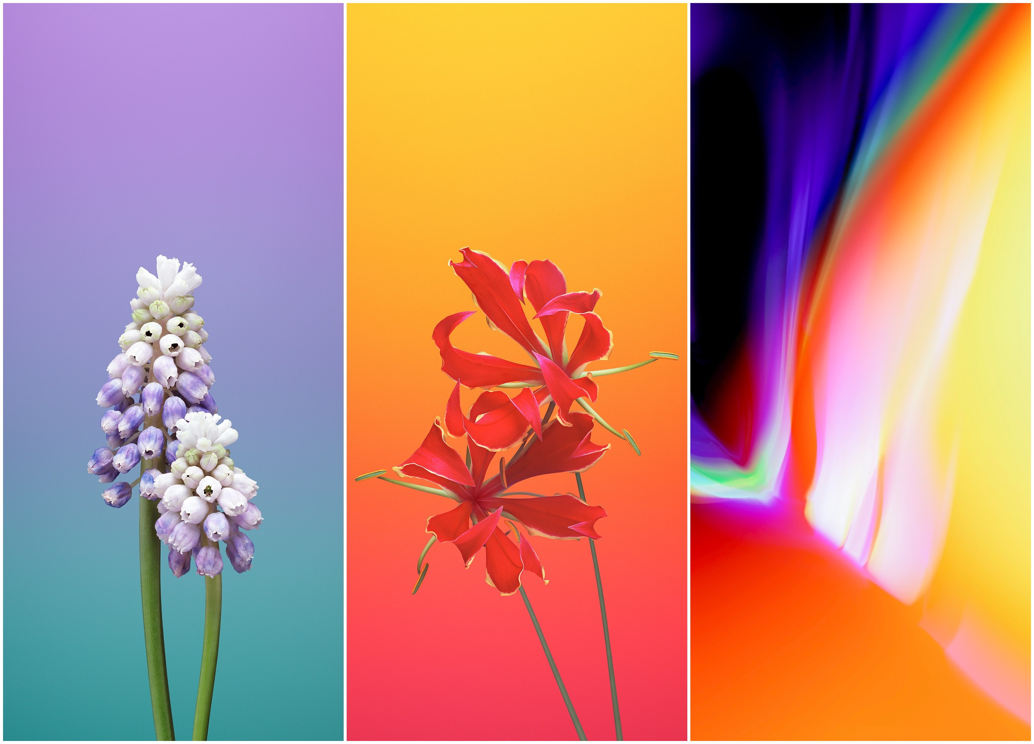 【壁纸分享】真~全面屏壁纸(苹果风2)丨第三期