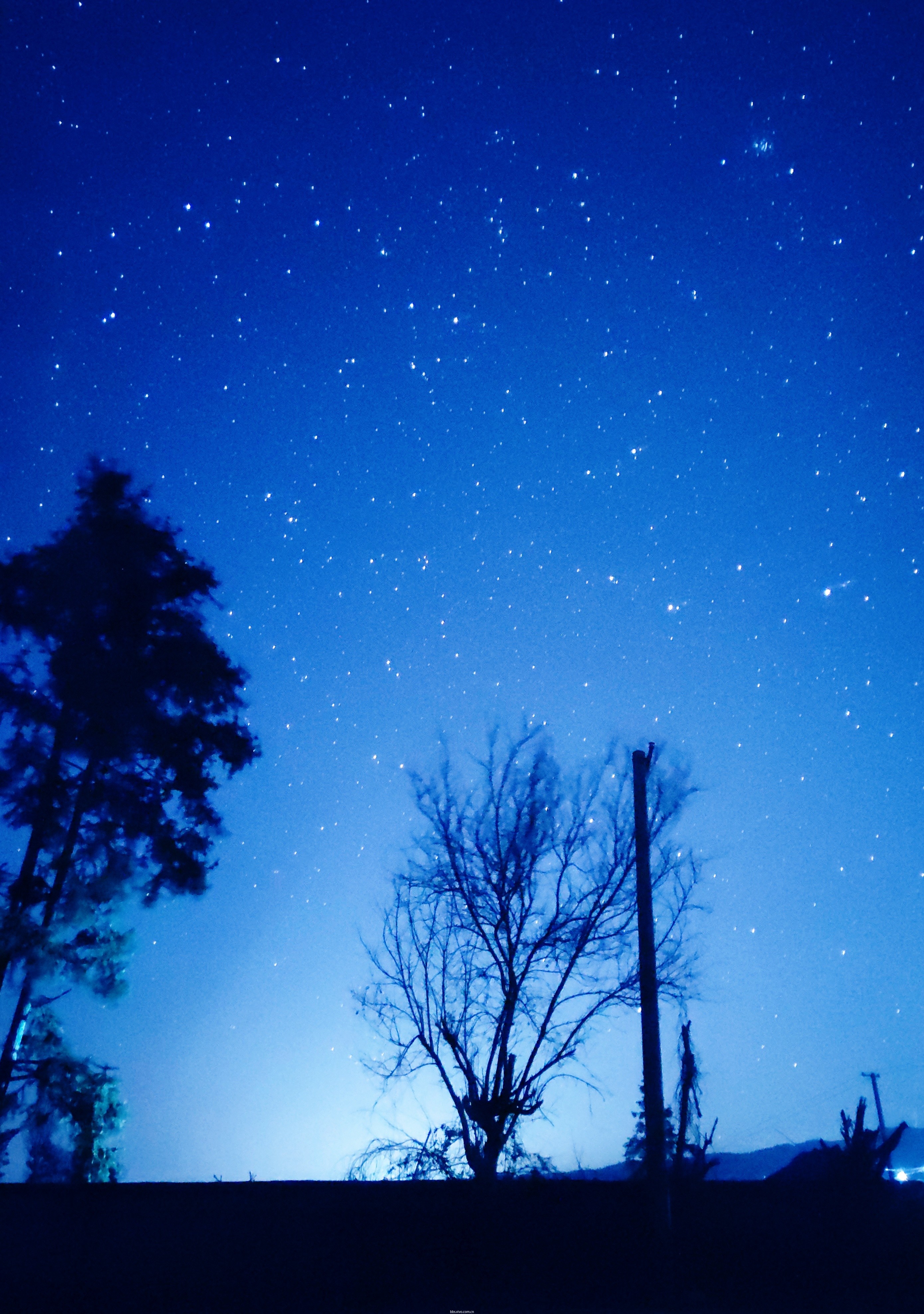 实拍夜晚满天星光图片图片