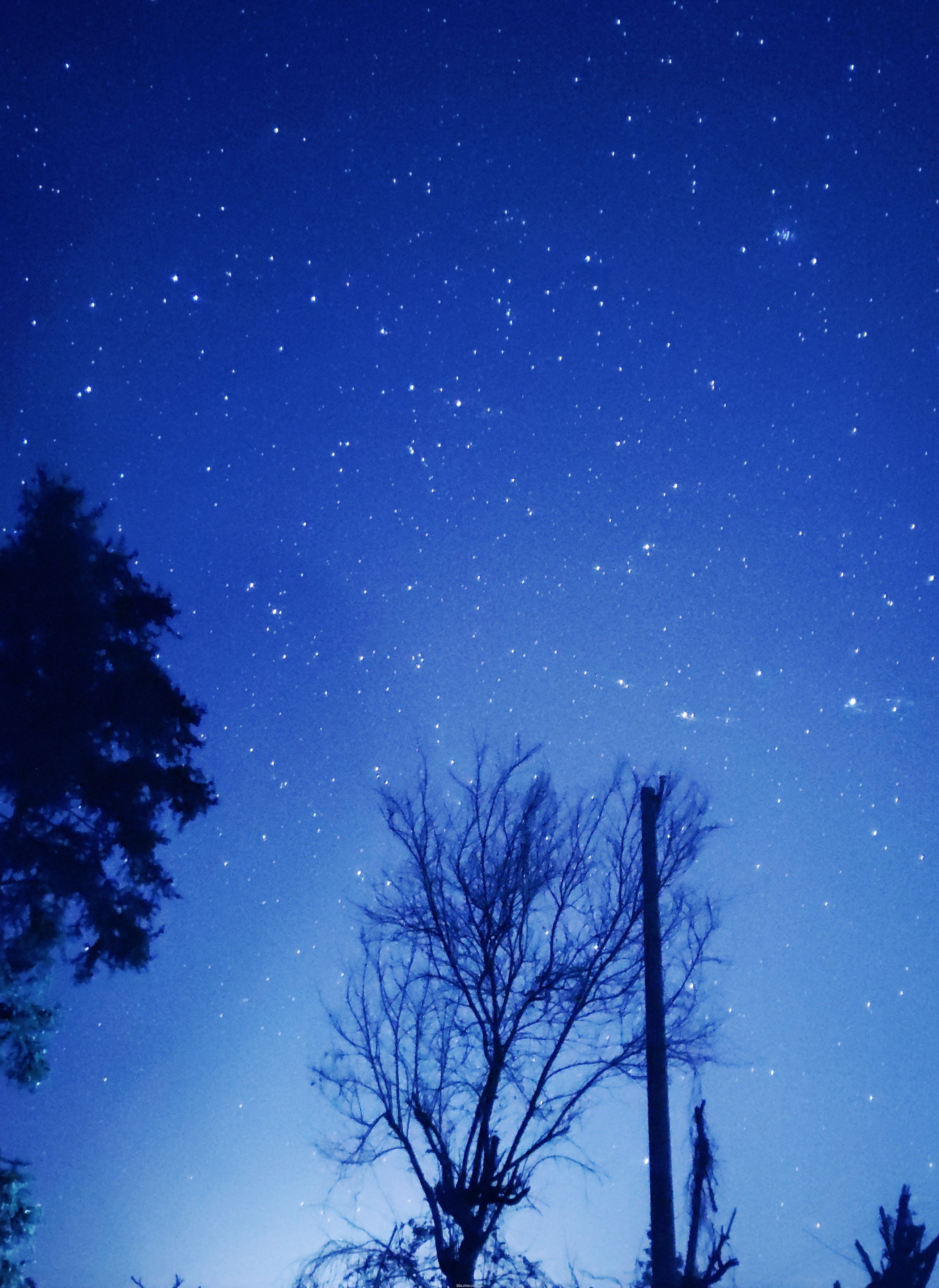 满天星星图片夜景真实图片