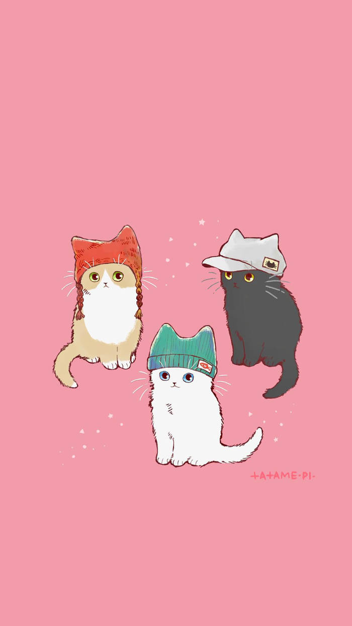 【壁纸】彩色猫咪可爱