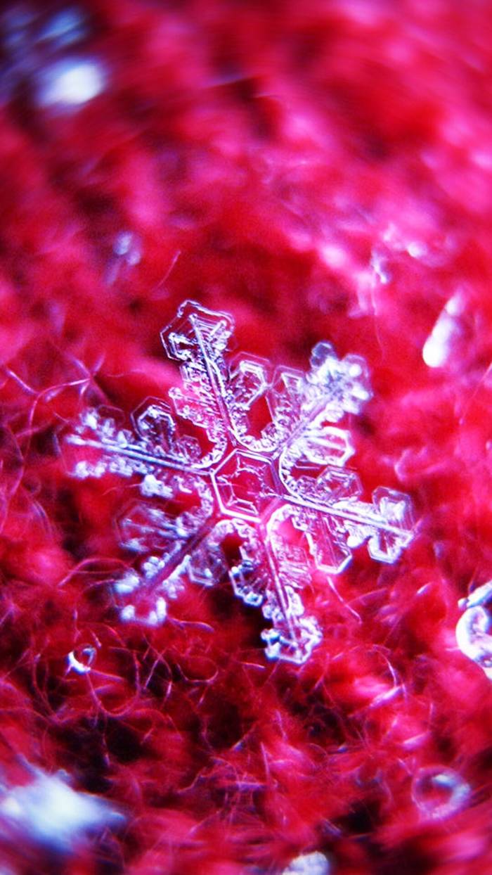 【壁纸分享】精致动人雪花