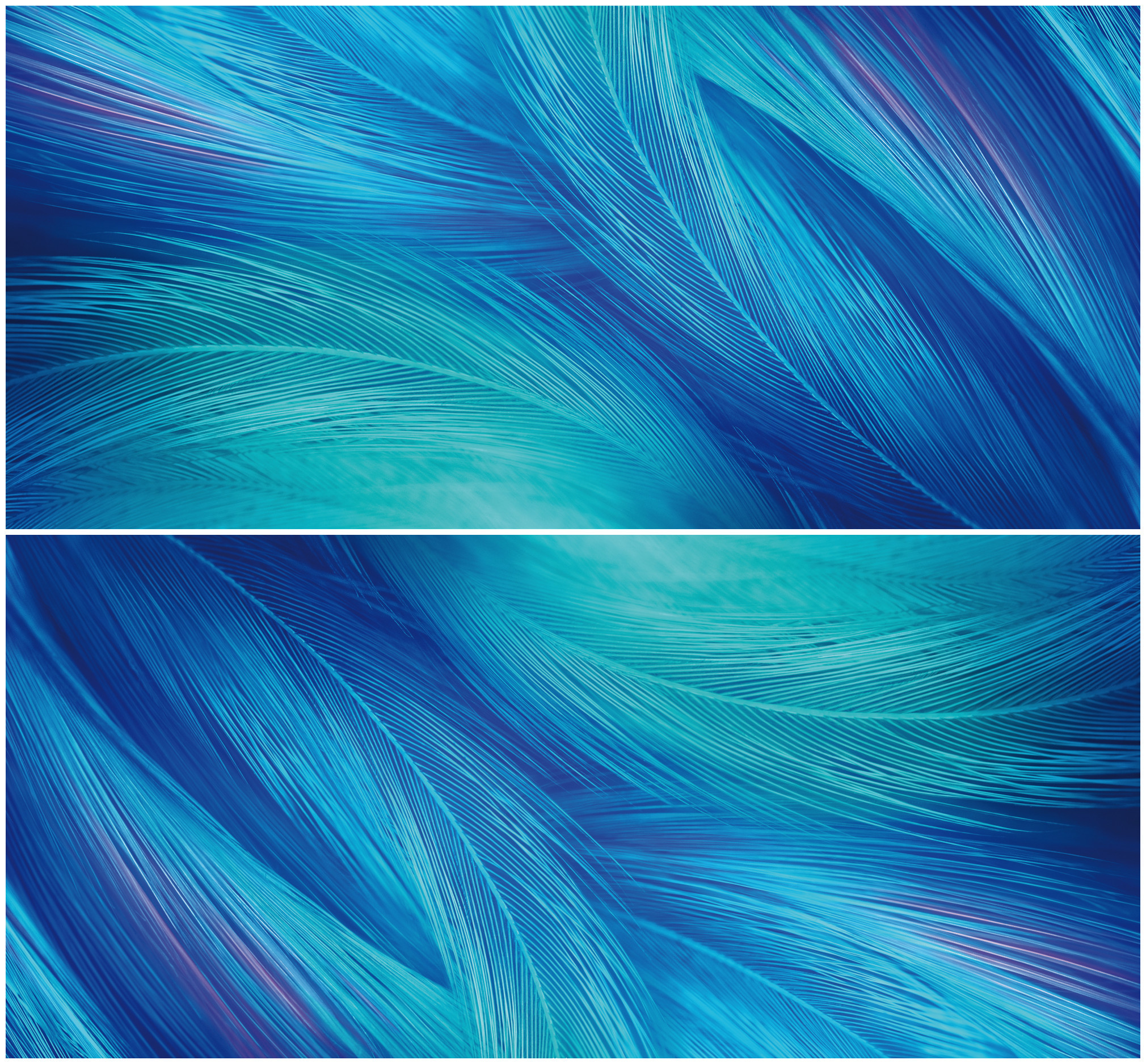 壁纸分享丨vivo x27海报壁纸细腻的羽毛,唯美上线