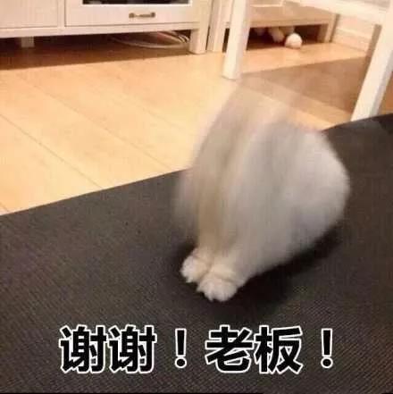 承包你全天微信消息的懒人表情包,难缠的聊天局也能挣脱