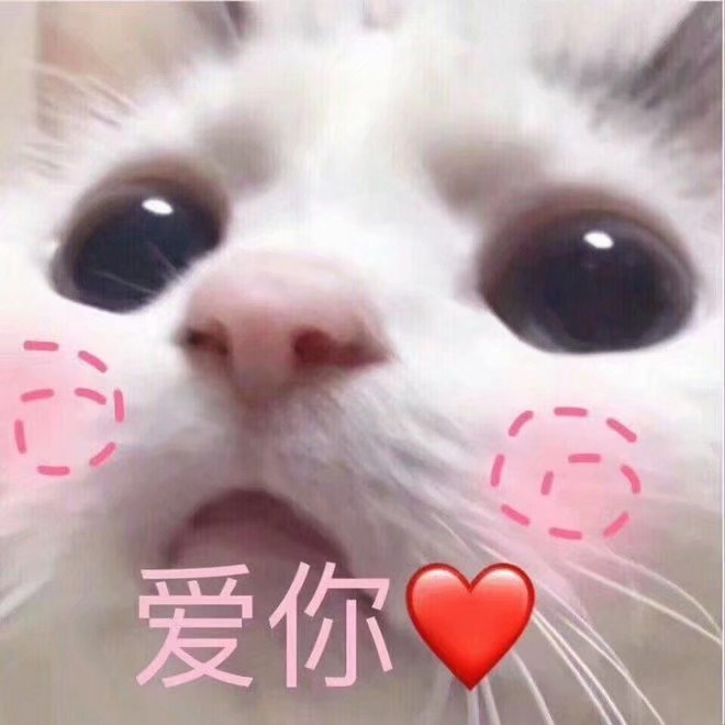 【表情包】一组可爱表情包来袭