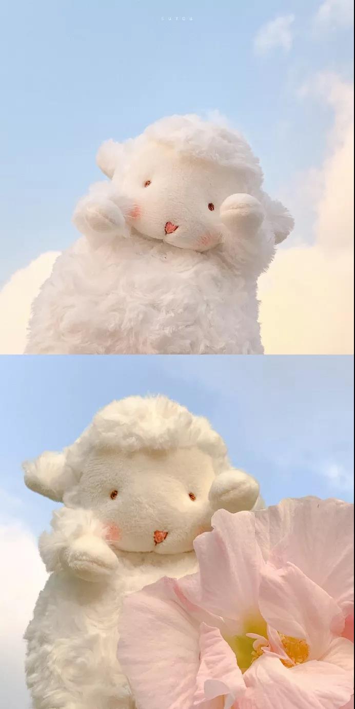 【壁纸】今日份小清新壁纸,请查收