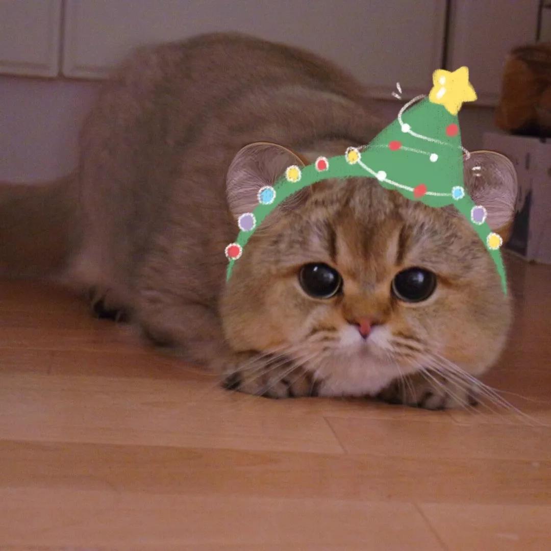 【头像】100张圣诞必备微信头像