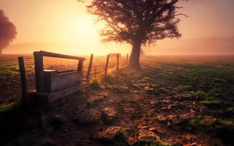 心情不好时,看看这几张图,瞬间豁然开朗