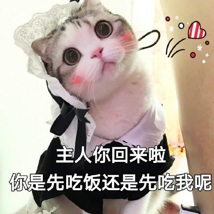 【表情包】 虽然我捉弄你,但是我洗翻你啊!