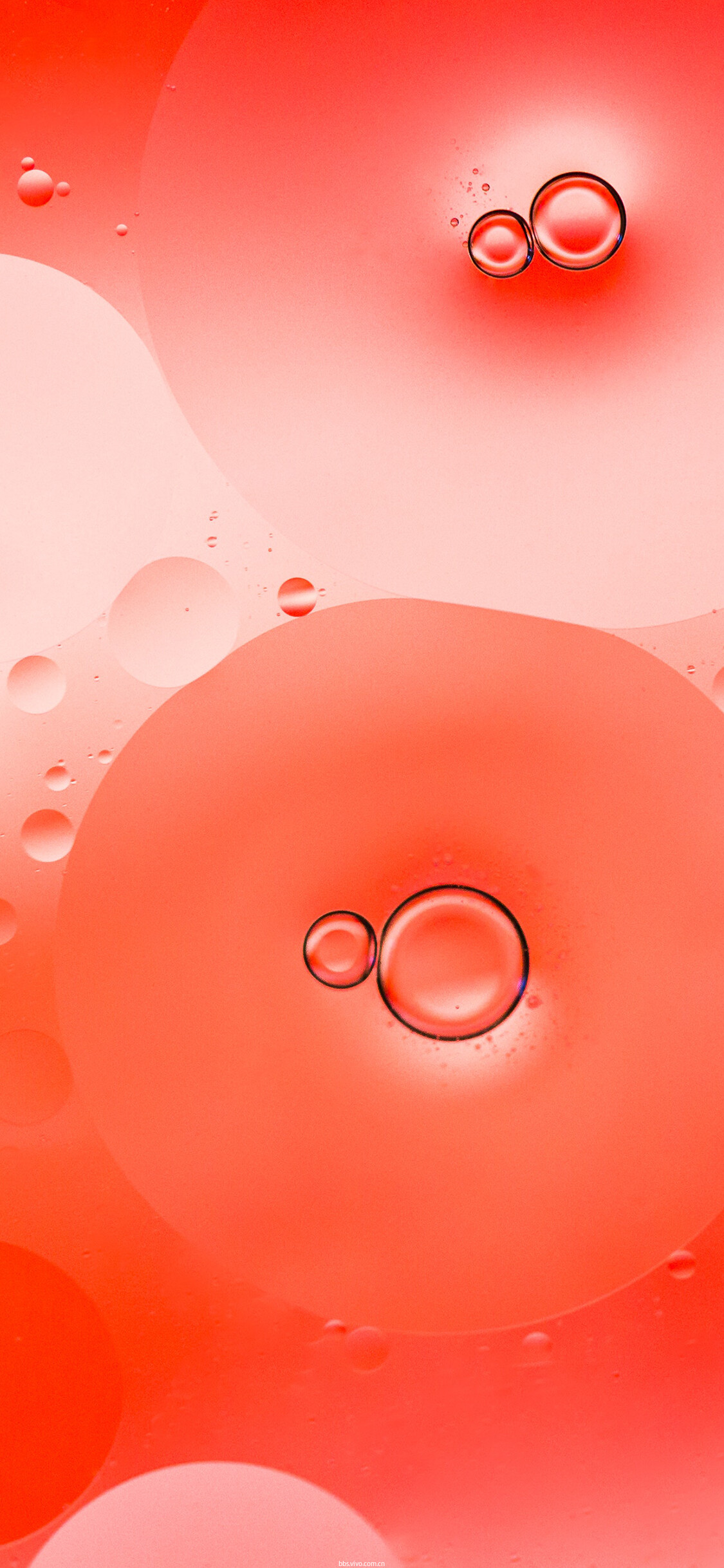 壁纸分享|苹果风全面屏壁纸第一期唯美来袭