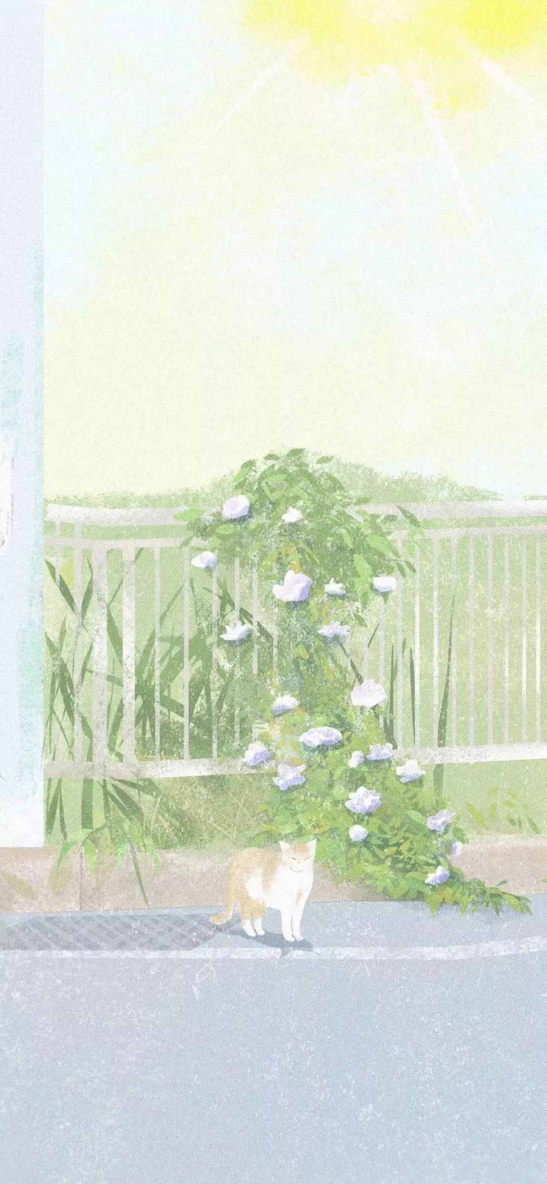 【壁纸】让薄荷绿壁纸清新你整个春天