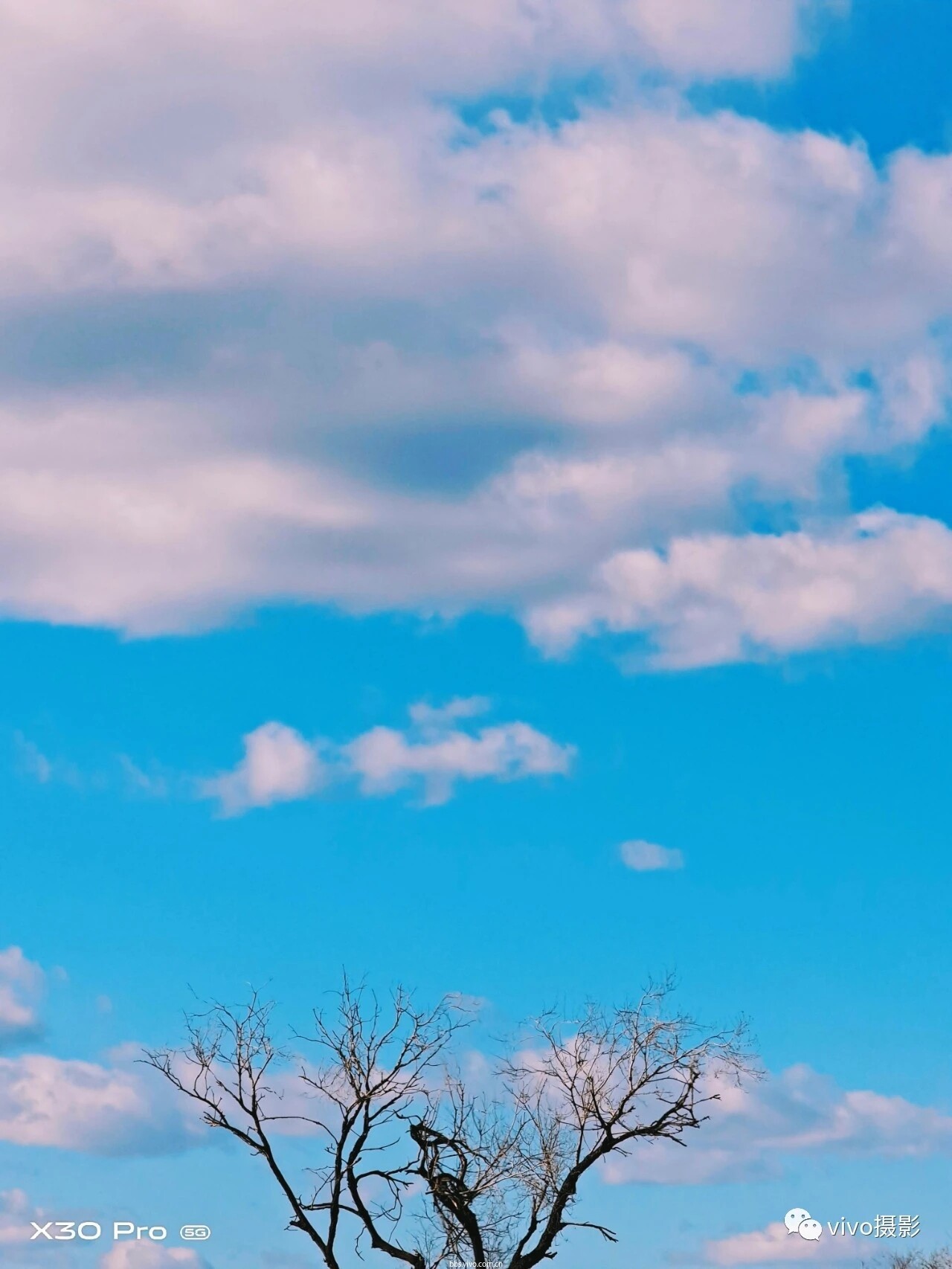 vivo摄影精选36期 | 摄影是一门"用心"的艺术