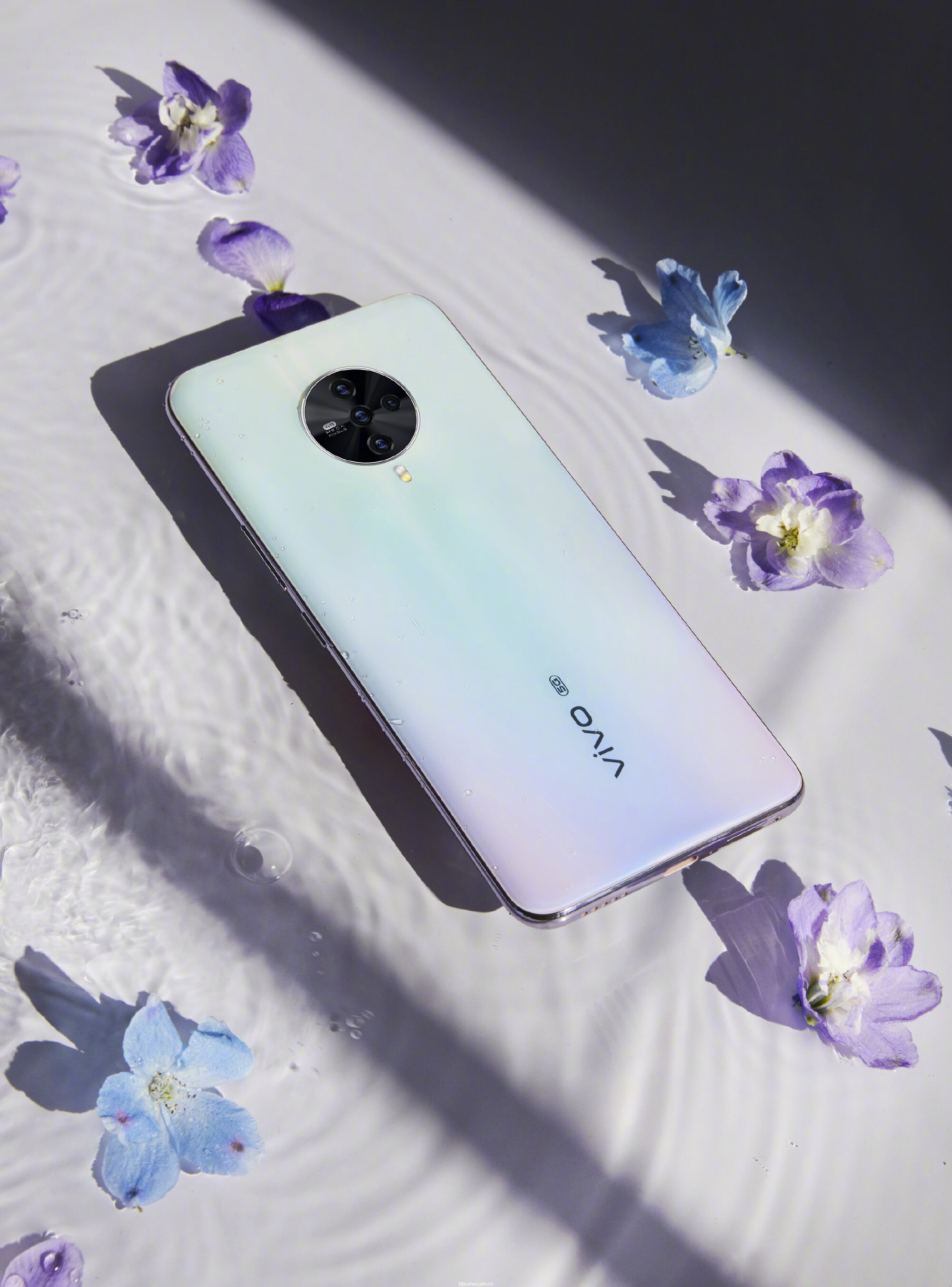 vivo s6天鹅湖,送给你今日的美好