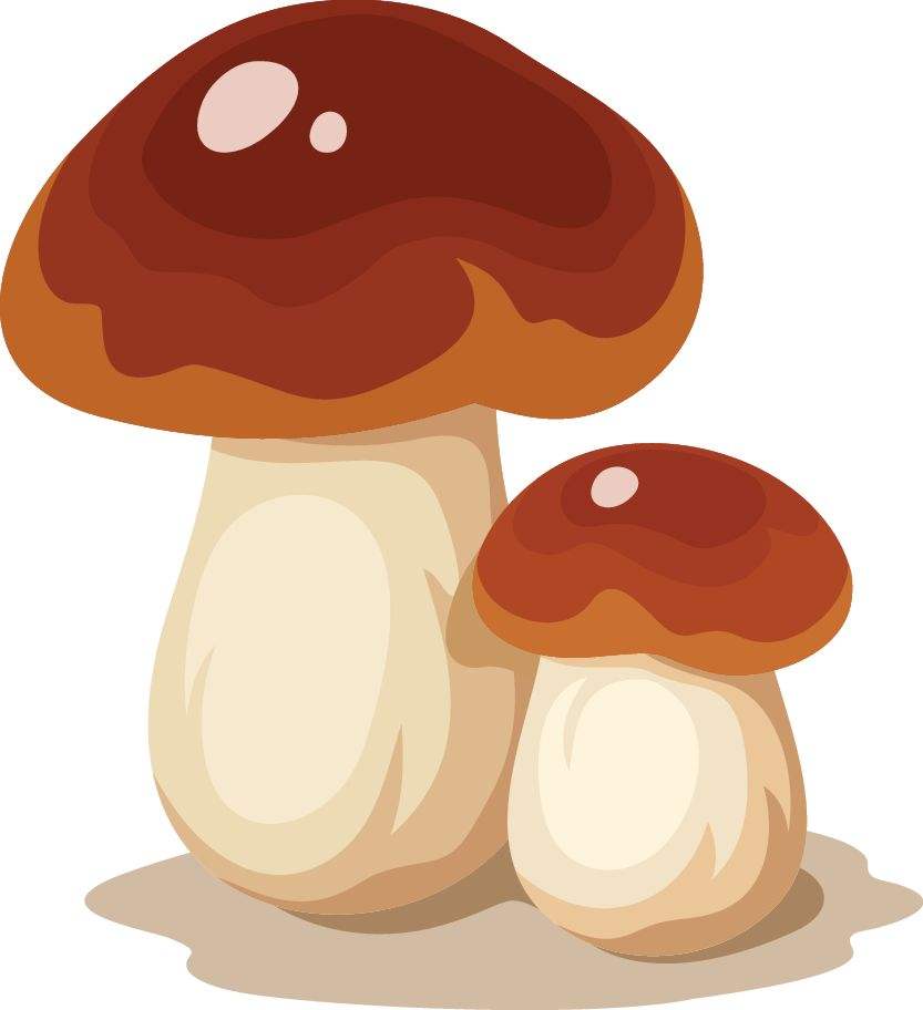 2蘑菇有36000种性别