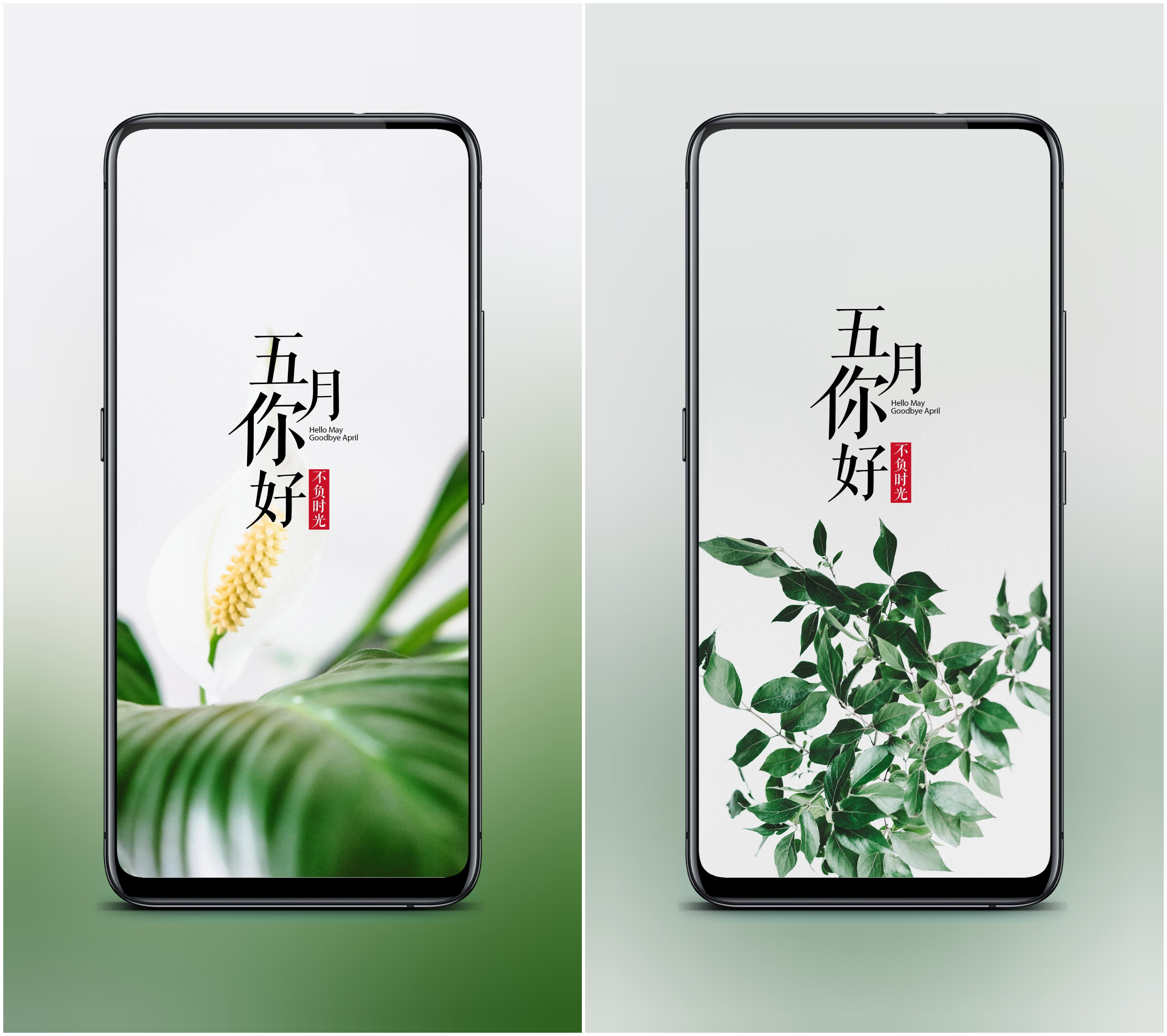 壁纸分享|5月你好