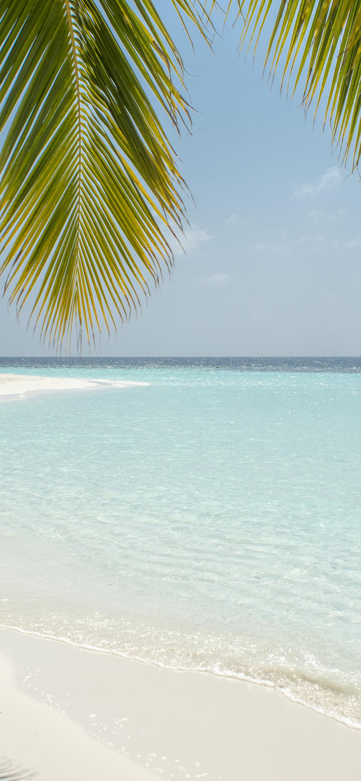 【壁纸】夏日清凉壁纸,换上清凉一夏